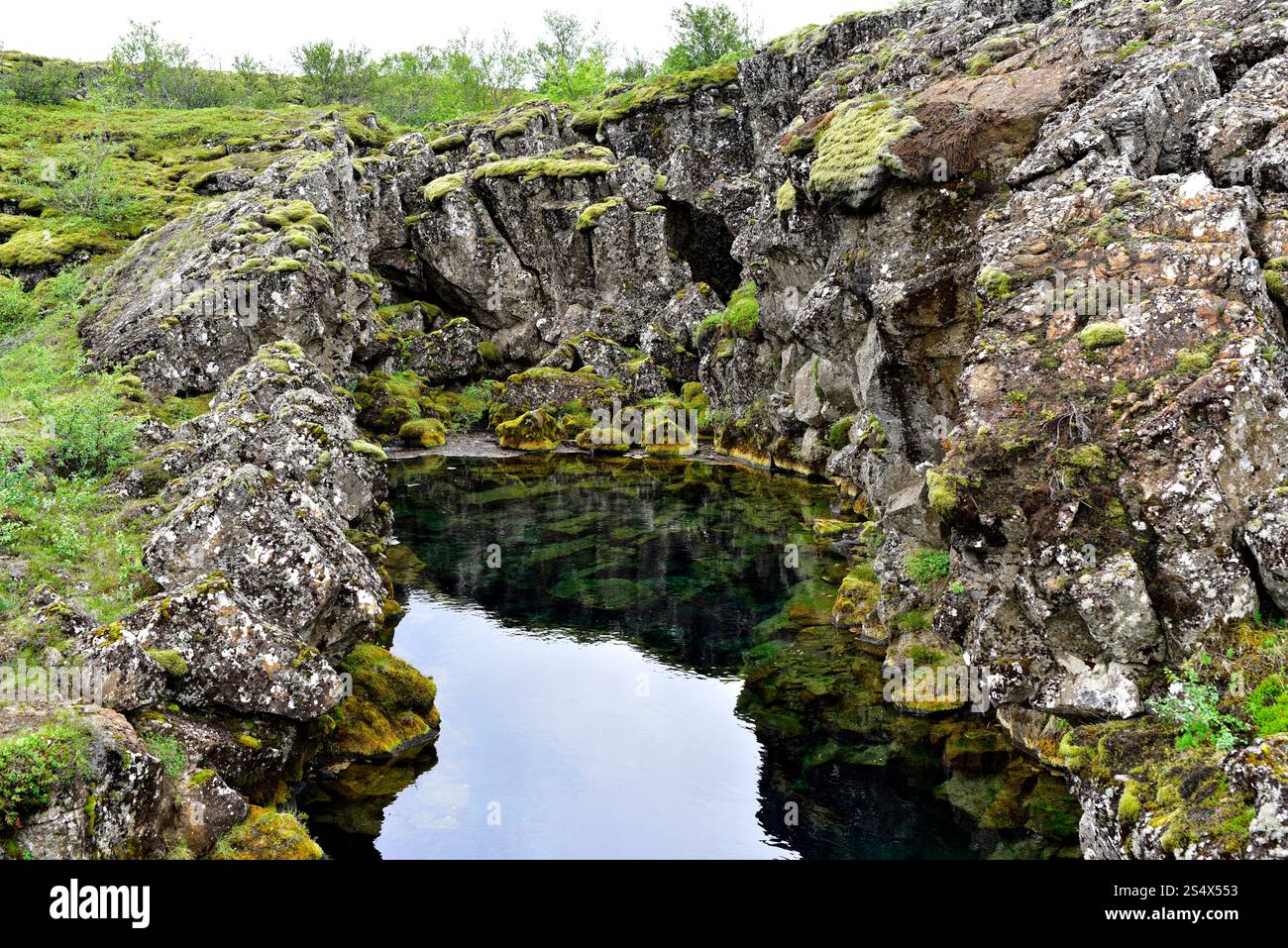 Flosagjá Rift marque la séparation entre la plaque américaine et la plaque eurasienne. Parc national de Thingvellir, Islande. Banque D'Images
