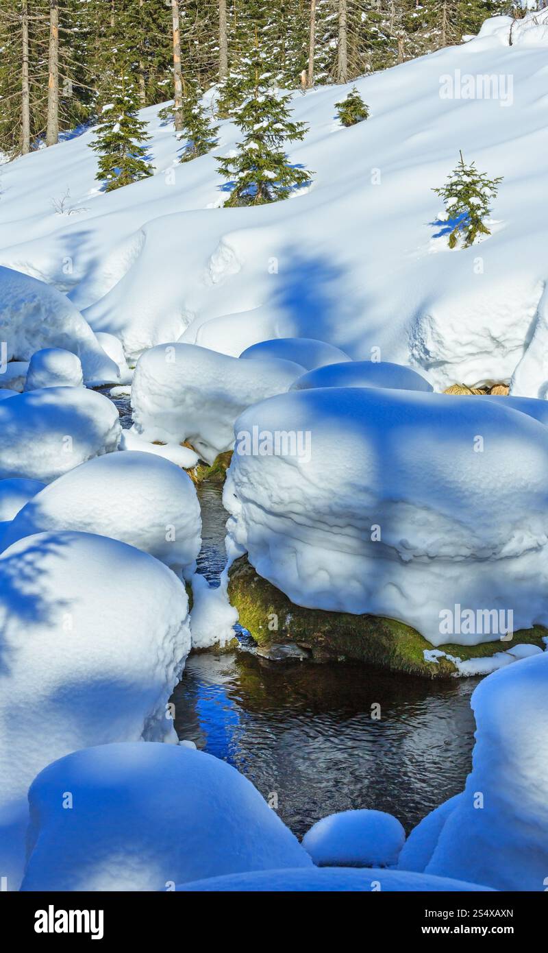 Petit ruisseau de montagne avec des bancs de neige et de sapins de la forêt. Banque D'Images