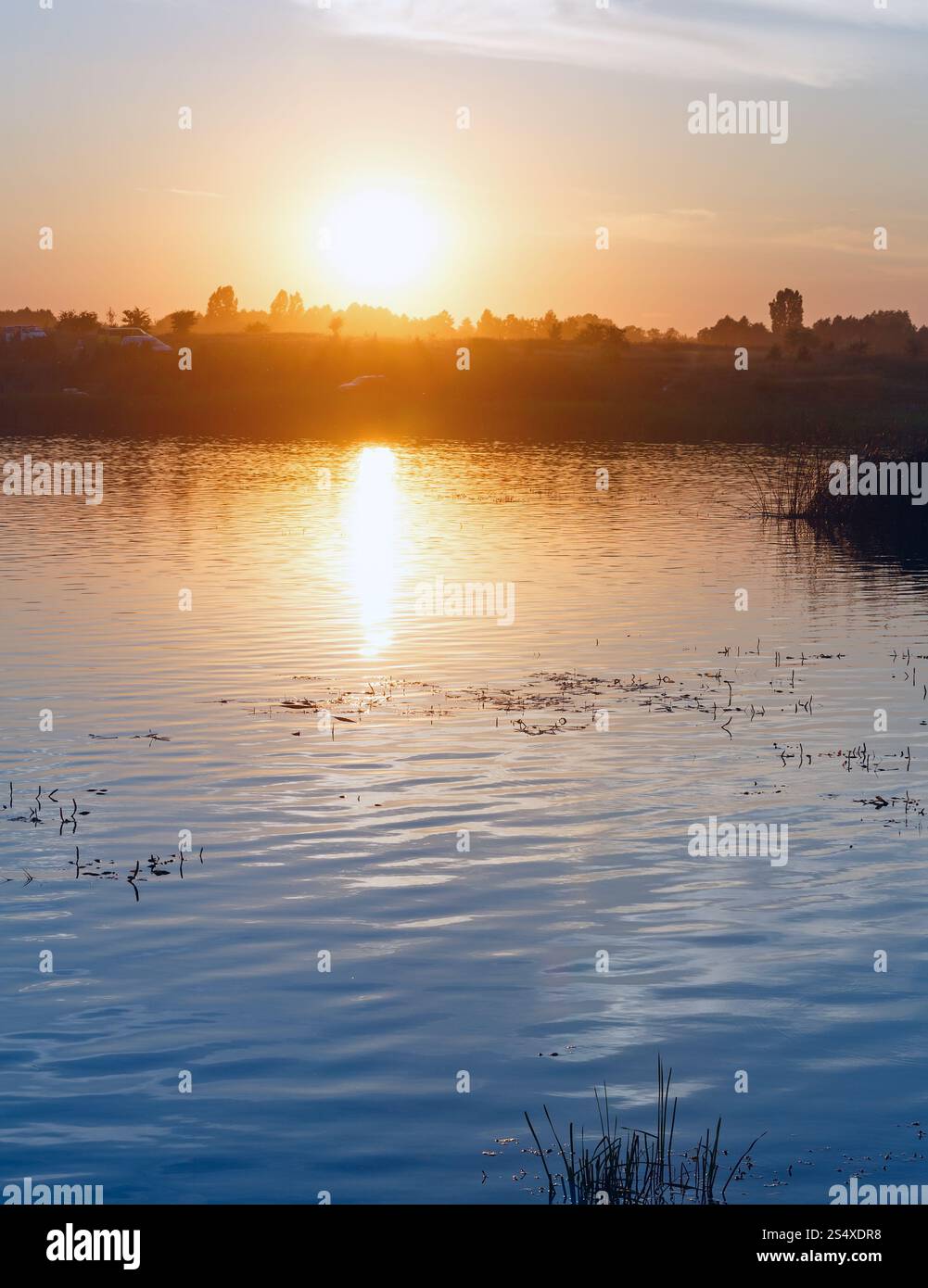 Coucher de soleil lac vue d'été avec la réflexion. Banque D'Images