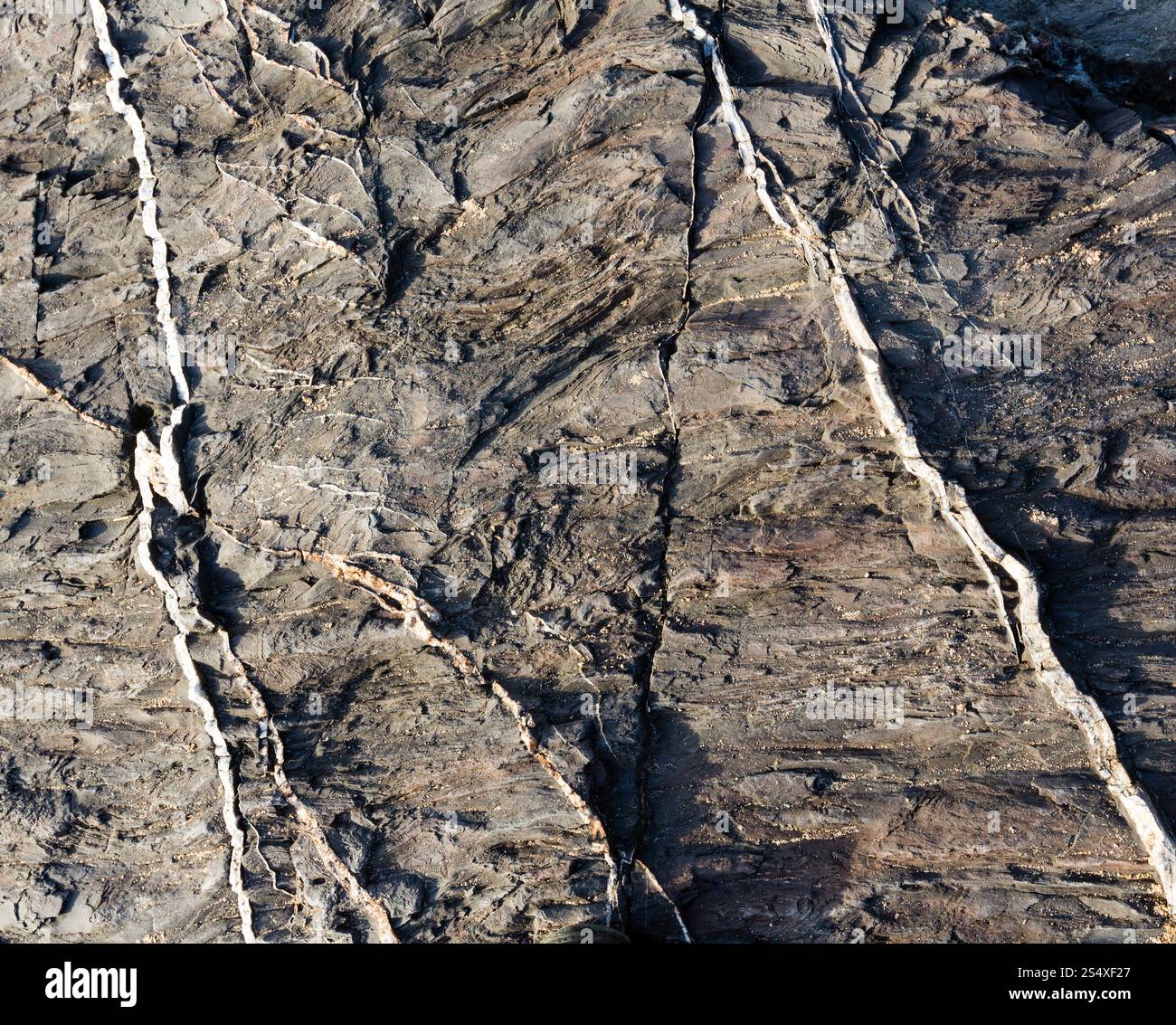 Partie de rock libre avec bandes blanches d'un autre matériau géologique. Arrière-plan de la nature. Banque D'Images