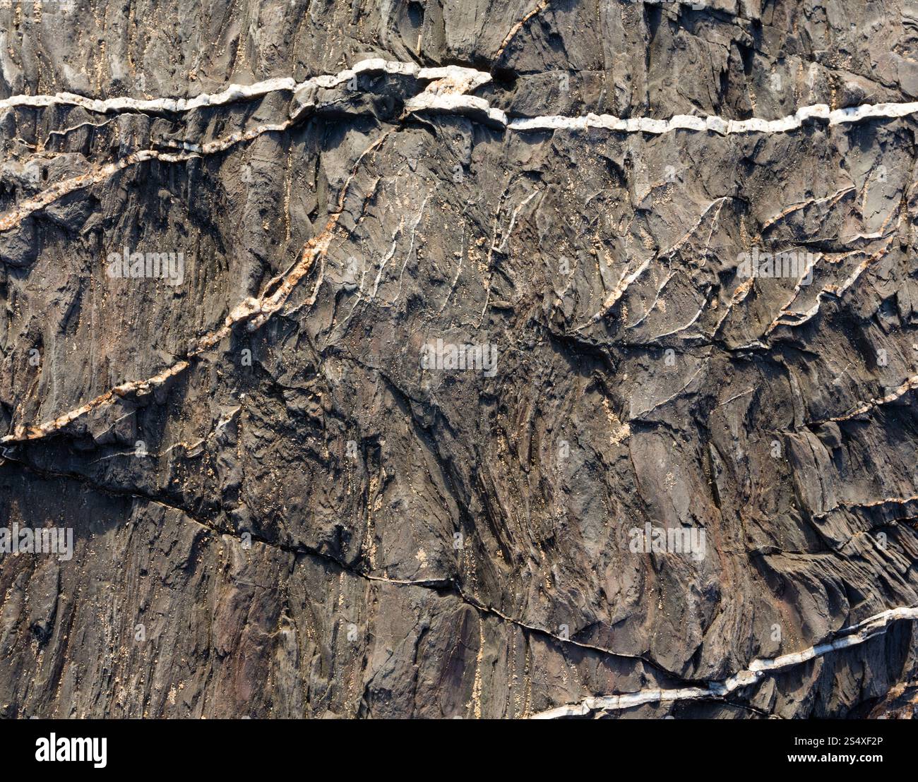 Partie de rock libre avec bandes blanches d'un autre matériau géologique. Arrière-plan de la nature. Banque D'Images