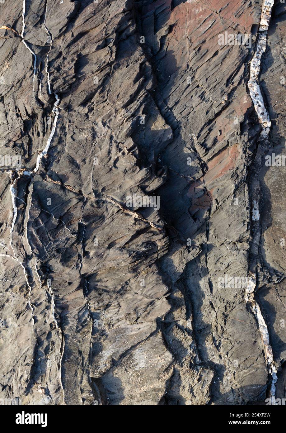 Partie de rock libre avec bandes blanches d'un autre matériau géologique. Arrière-plan de la nature. Banque D'Images