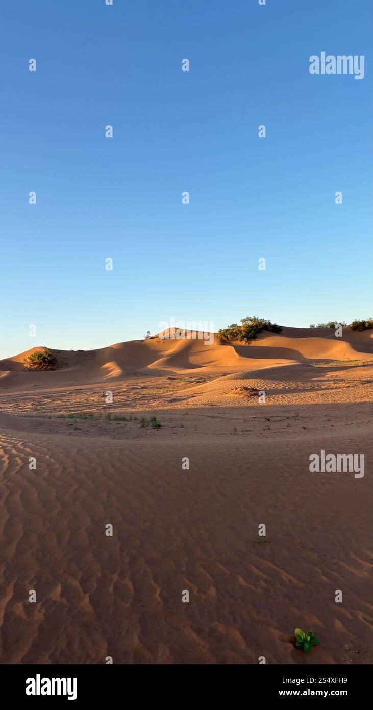 Dunes de sable dans le désert du Sahara, Maroc - Image de stock capturée avec un smartphone