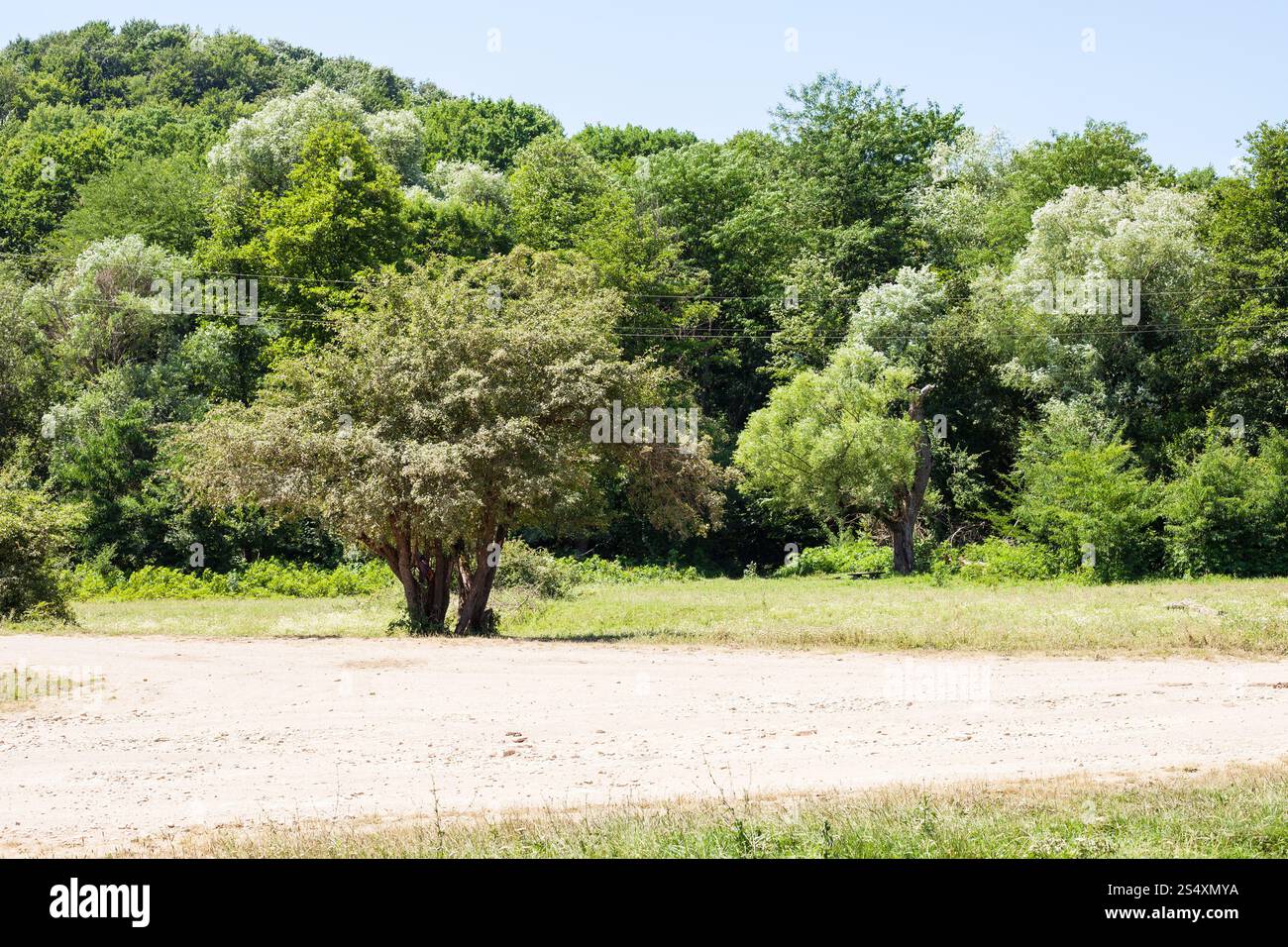 Paysage de montagne près de Shapsugskaya village dans la région du Caucase du Nord en journée ensoleillée Banque D'Images