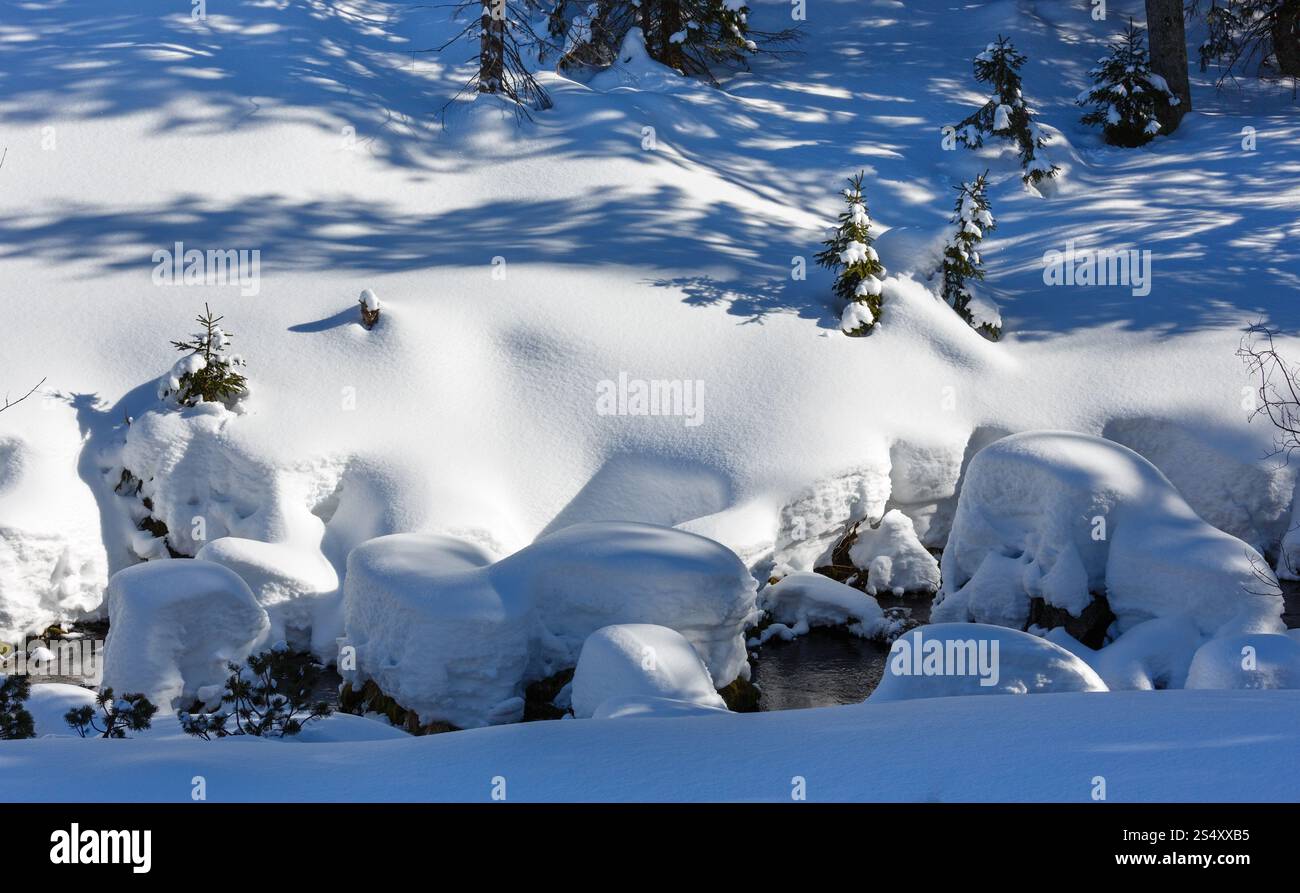 L'hiver la montagne enneigée hill avec des petits sapins et des cours sous la neige. Banque D'Images