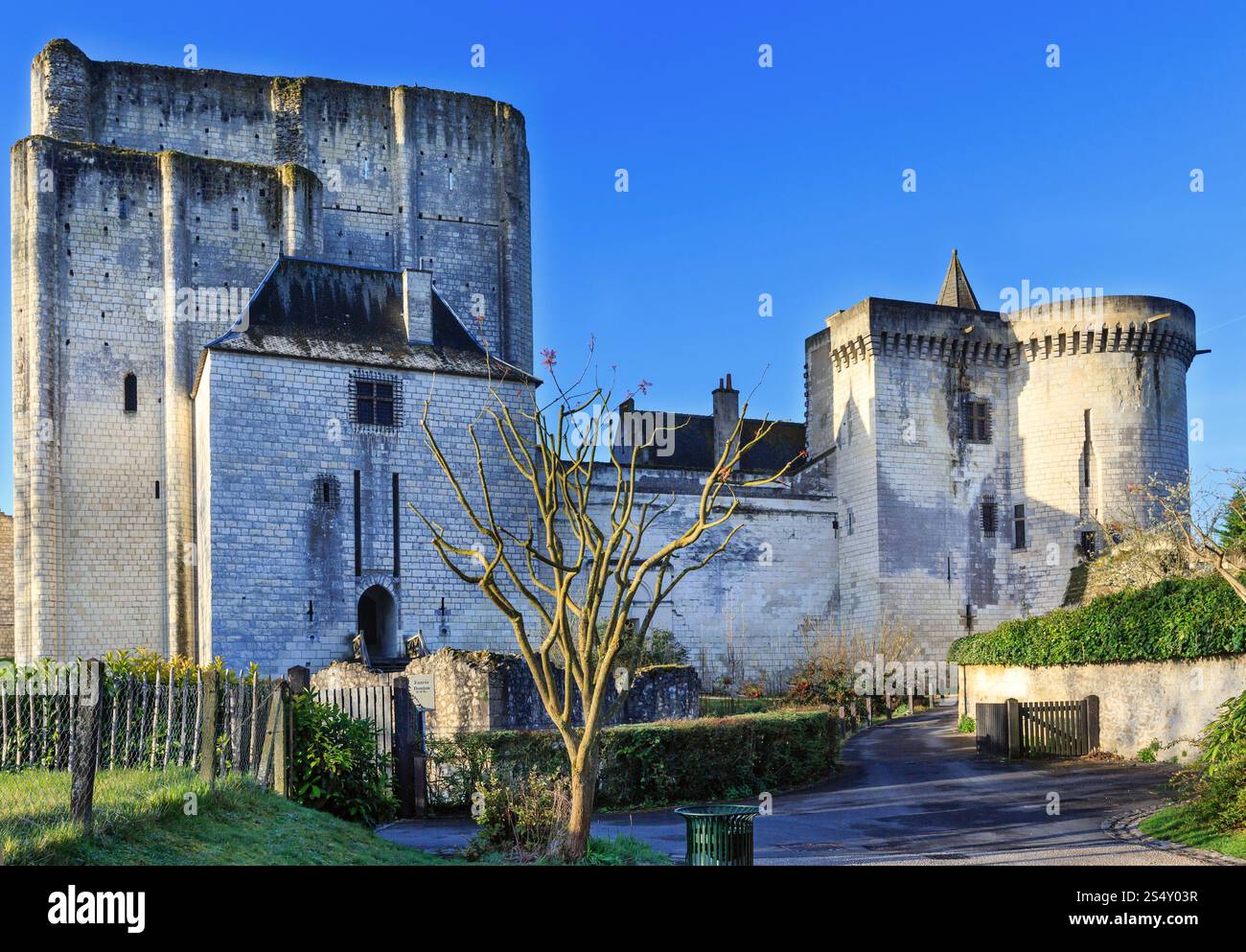 Murs médiévaux de la ville royale de Loches, France. A été construit au 9ème siècle. Banque D'Images