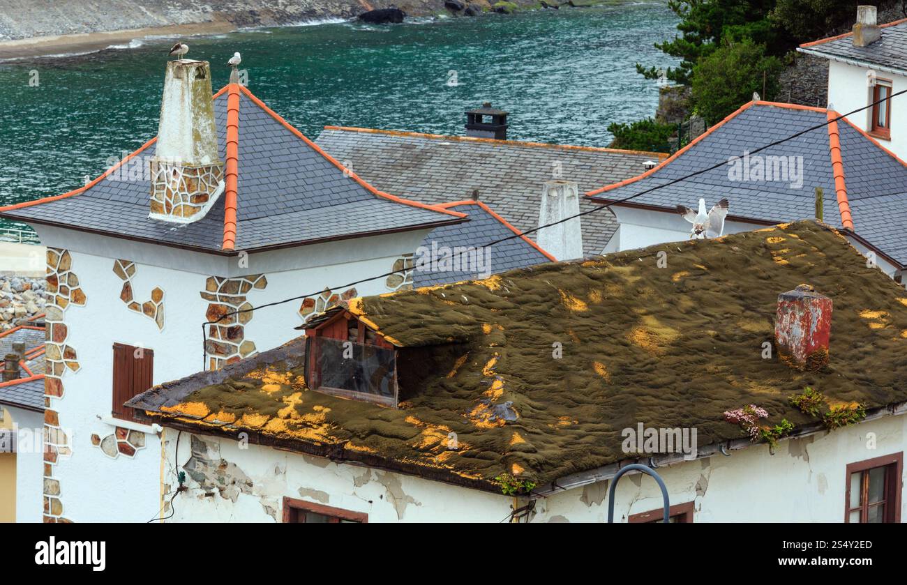 Vieille maison obsolètes avec toit de mousse et de fleurs dans la ville de Luarca, Asturias, Espagne. Banque D'Images