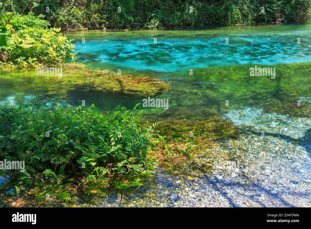 Blue Eye (printemps de l'eau) avec l'eau bleu clair vue d'été (près de Muzine comté à Vlore, Albanie). Banque D'Images