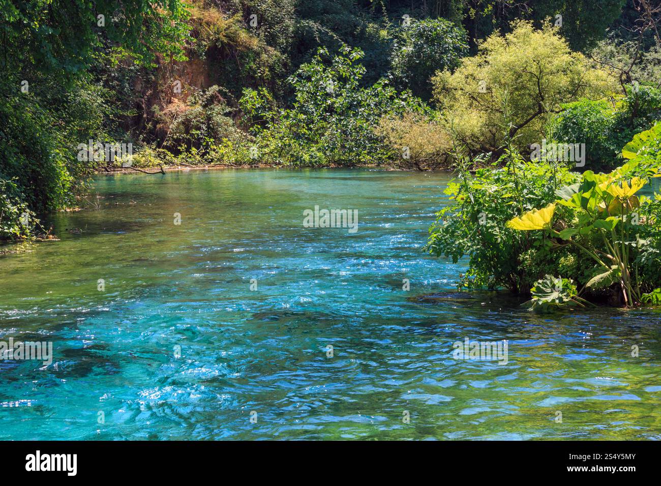 Blue Eye (printemps de l'eau) avec l'eau bleu clair vue d'été (près de Muzine comté à Vlore, Albanie). Banque D'Images