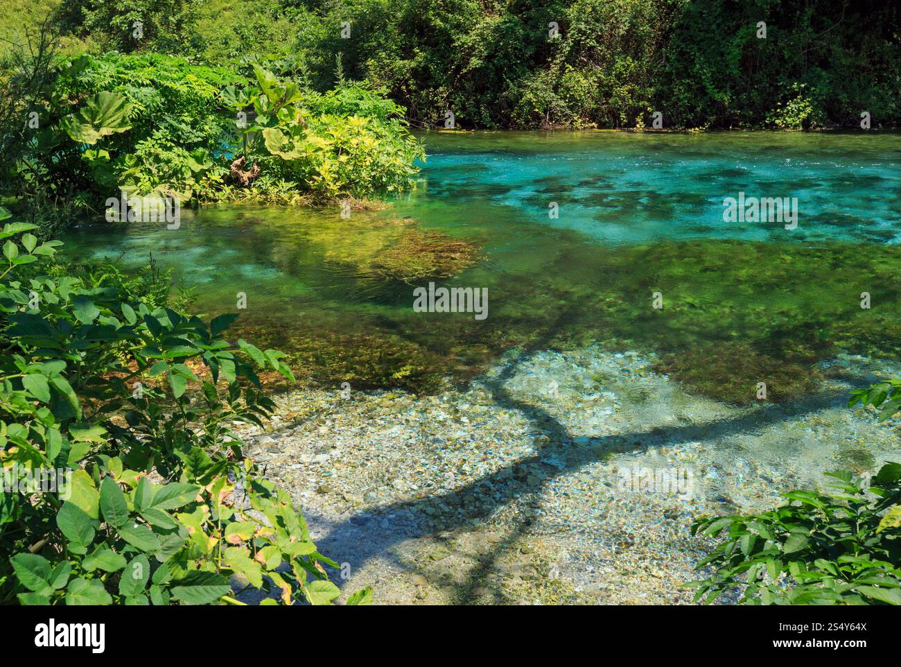 Blue Eye (printemps de l'eau) à l'eau claire vue d'été (près de Muzine comté à Vlore, Albanie). Banque D'Images
