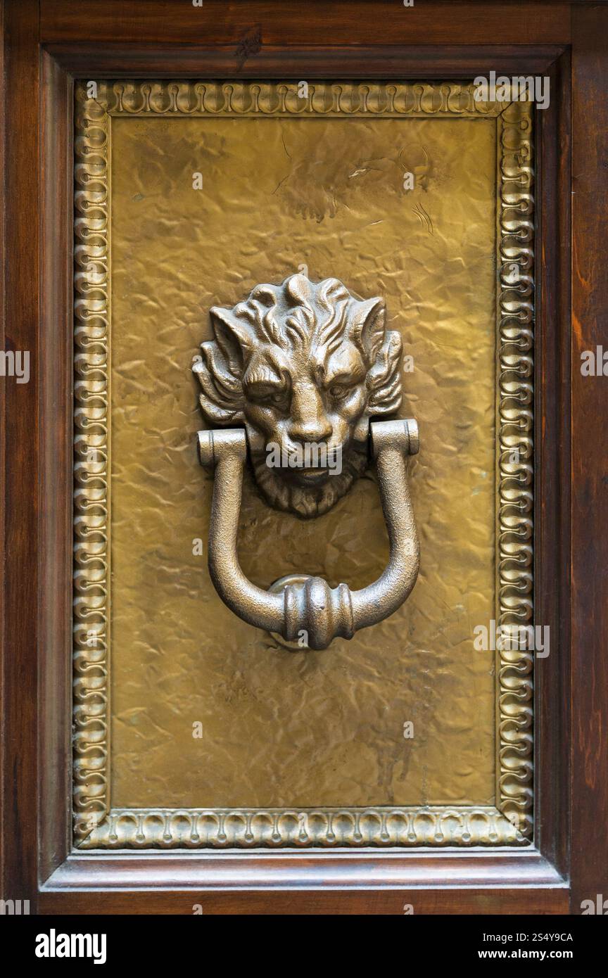 Voyage d'Italie - lion head knocker sur panneau en laiton de la vieille porte de bois dans la ville de Florence Banque D'Images