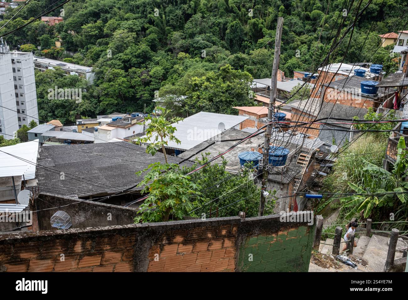 Maisons jumelées sur la colline à Favela Pereira da Silva, Rio de Janeiro, Brésil Banque D'Images