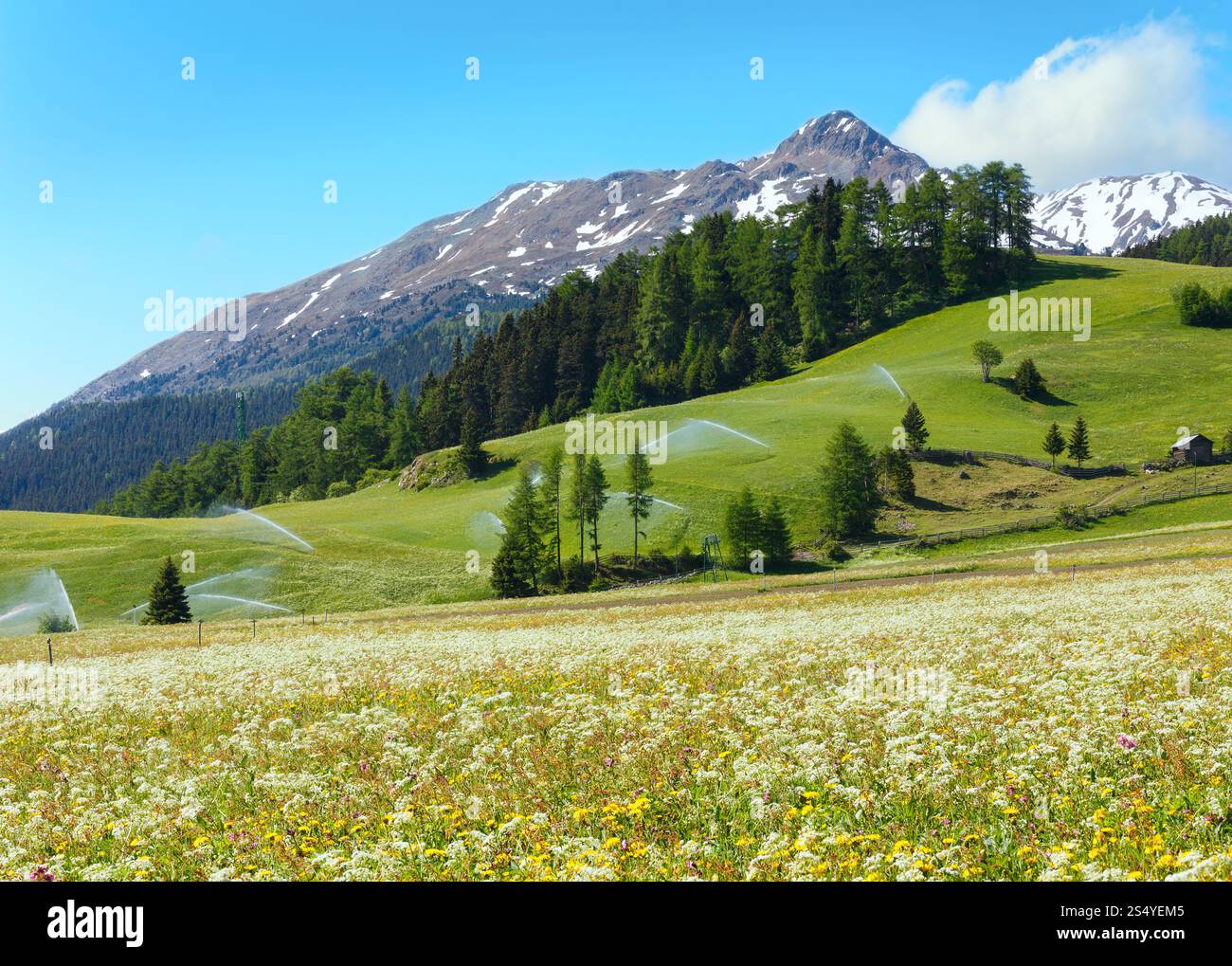Jets d'eau d'irrigation dans la montagne des Alpes d'été (Italie). Ciel bleu avec nuage. Banque D'Images