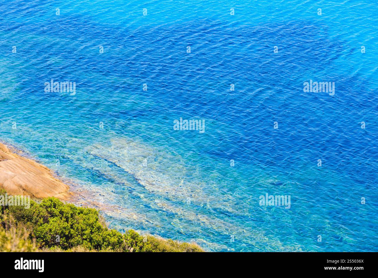 Paysage de mer en été avec l'aigue-marine l'eau transparente. Vue de la rive (Sithonia, Halkidiki, Grèce). Banque D'Images