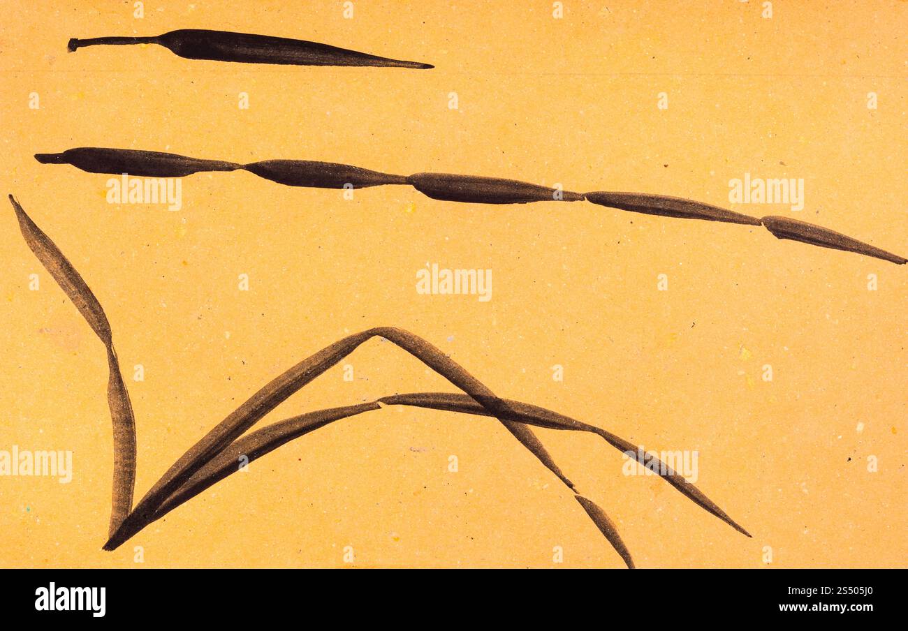 La formation en dessin suibokuga with style - esquisses de l'herbe sur du papier de couleur orange Banque D'Images