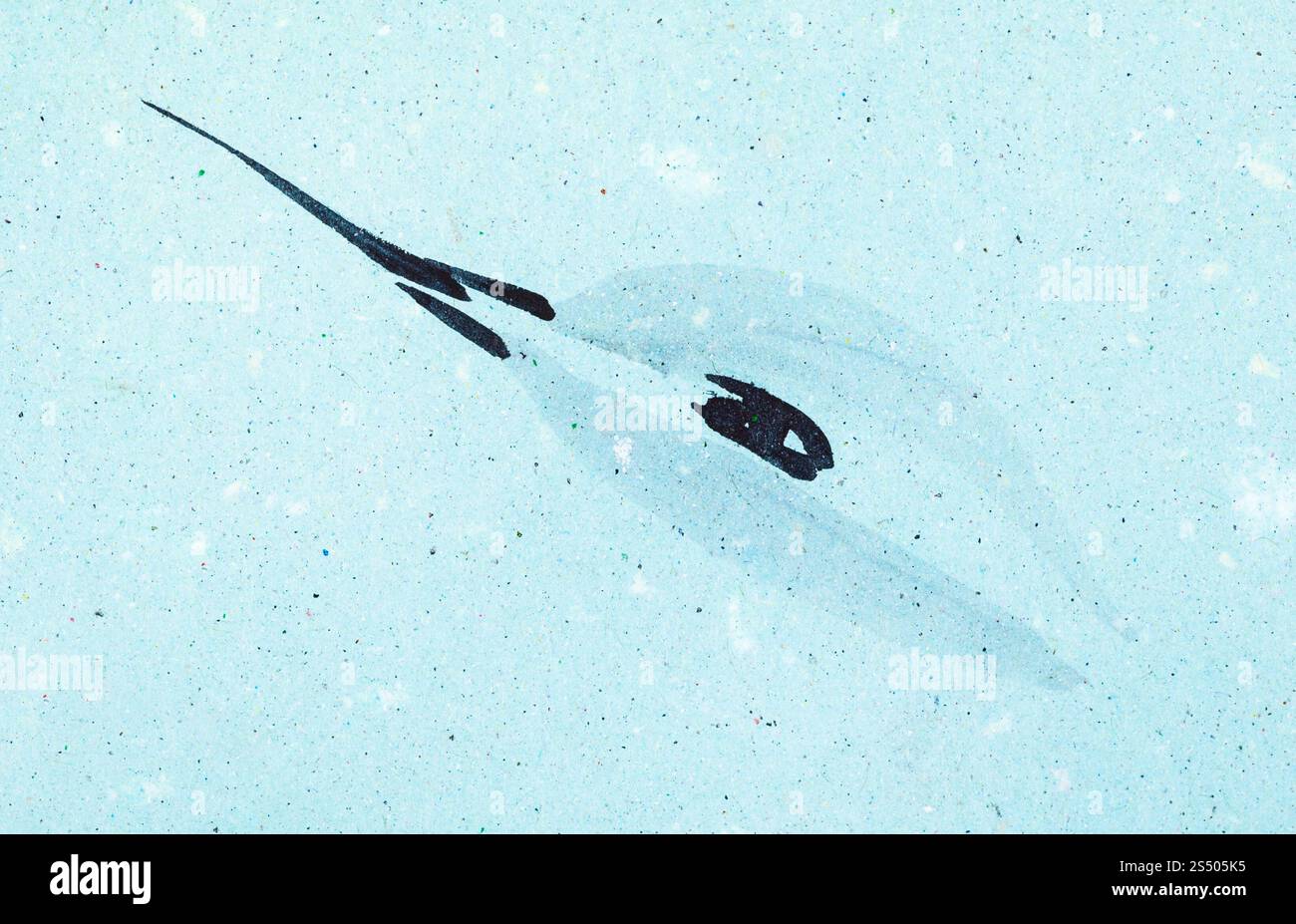 La formation en dessin suibokuga with style - tête de colibri sur du papier de couleur bleu Banque D'Images