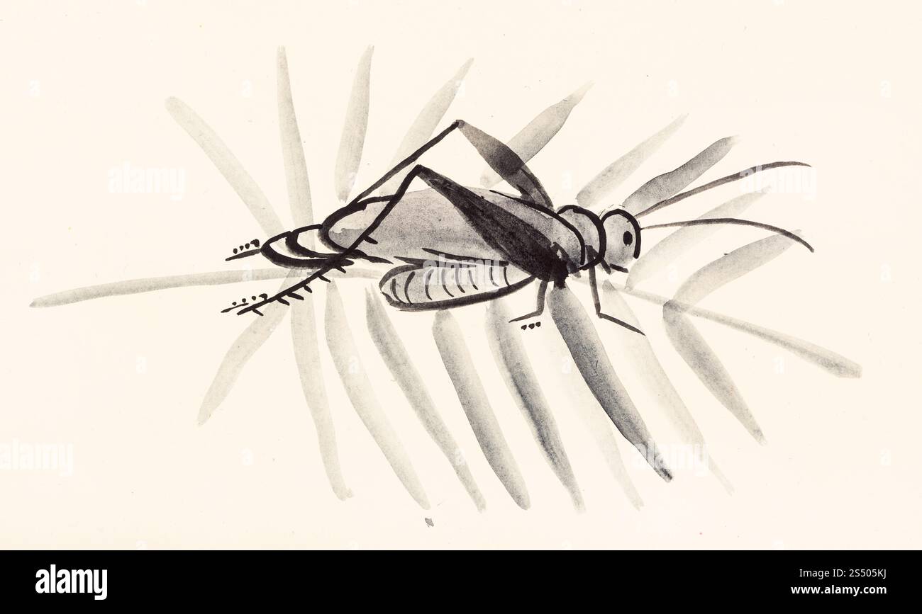 La formation en dessin suibokuga with style - grasshopper on twig sur du papier de couleur ivoire Banque D'Images