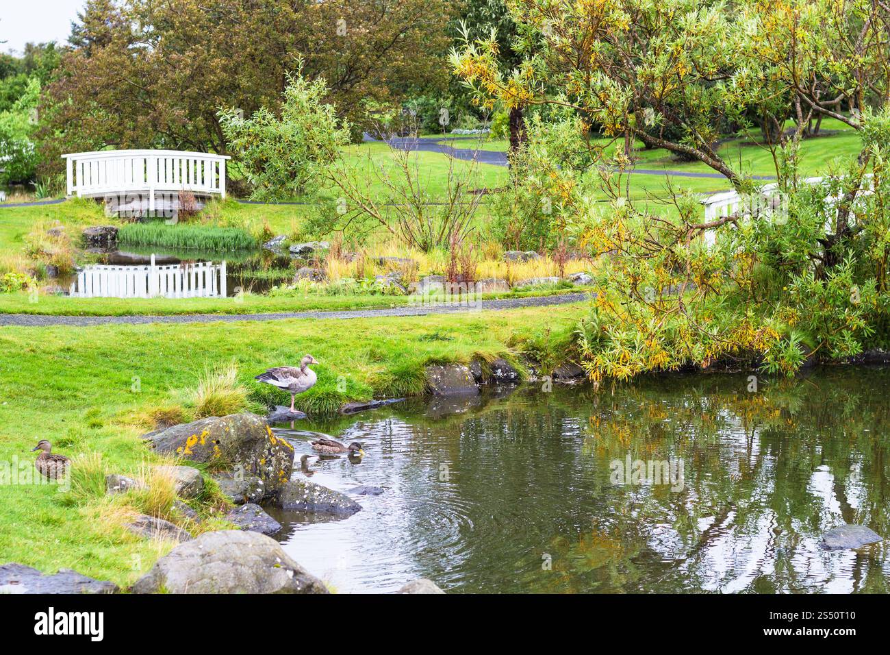 Voyager en Islande - étangs en public dans le parc de la famille vallée laugardalur de Reykjavik en septembre Banque D'Images
