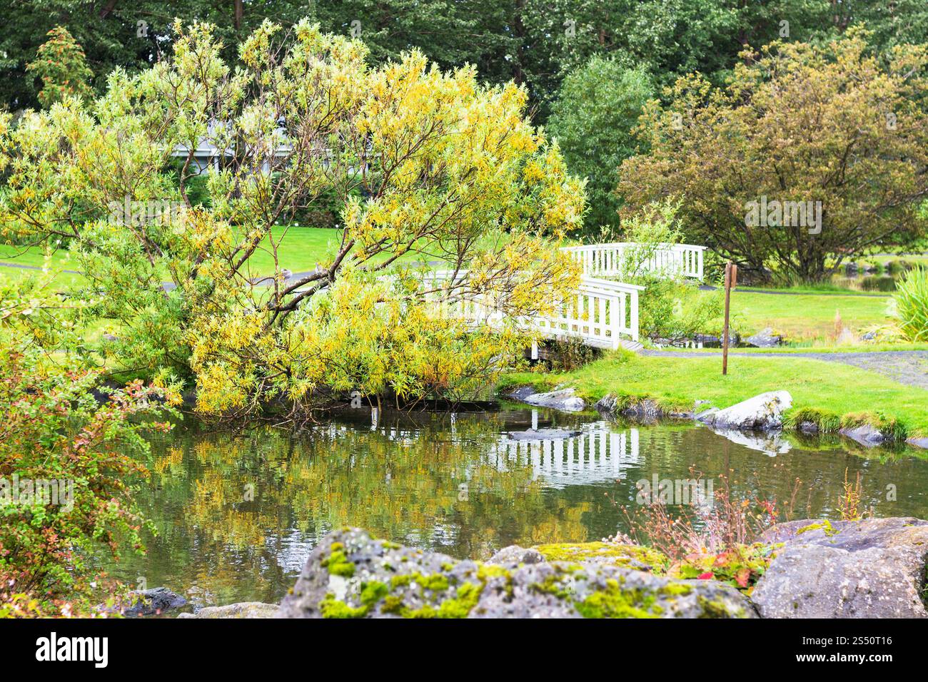 Voyager en Islande - parc de la famille dans la vallée de laugardalur de Reykjavik en septembre Banque D'Images