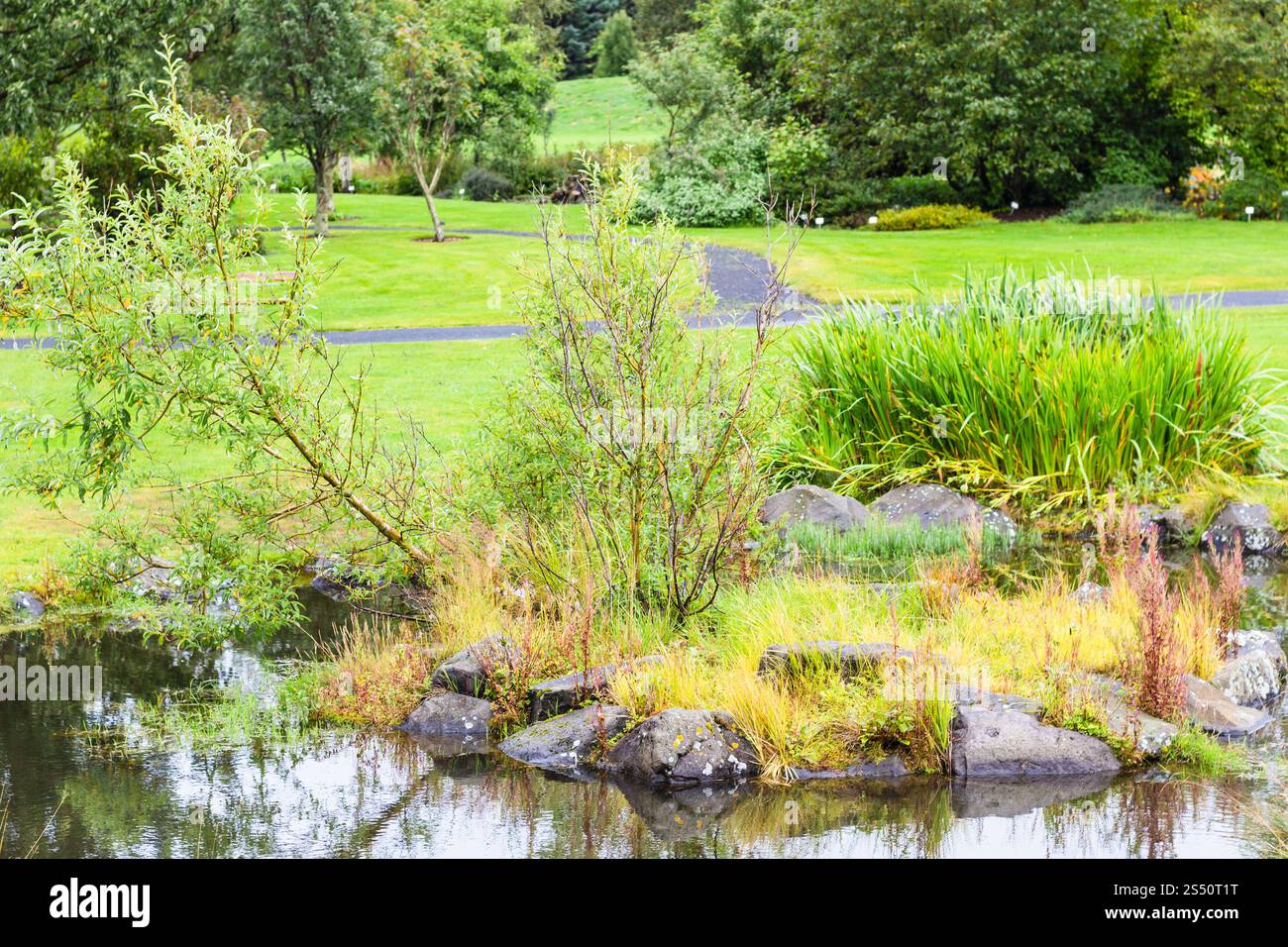Voyager en Islande - paysage de la famille dans le parc public de la vallée laugardalur de Reykjavik en septembre Banque D'Images