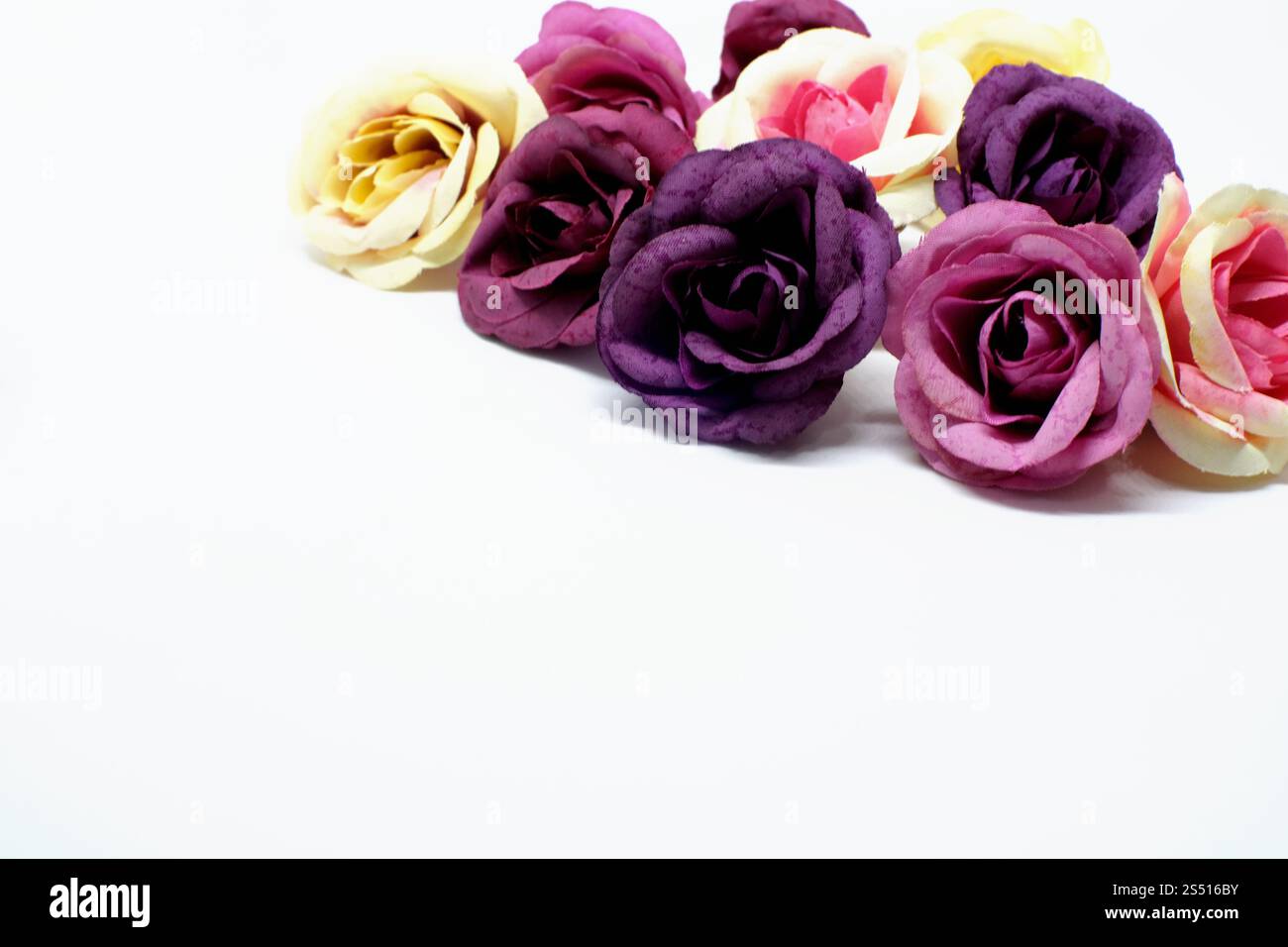 Amour Saint-Valentin fond romantique. de belles roses. Banque D'Images