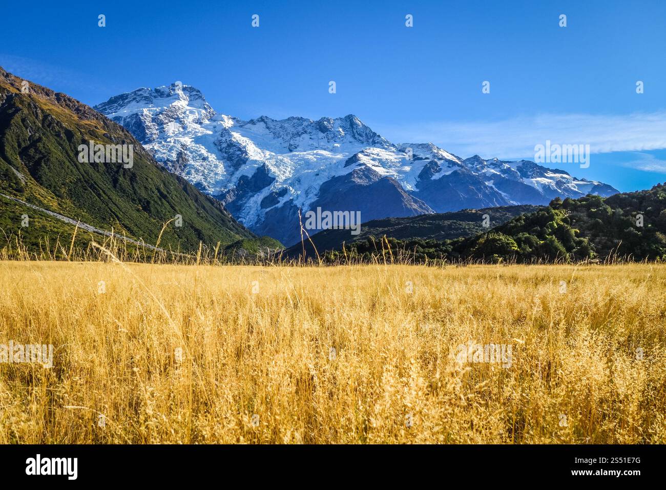 Paysage alpin de la vallée du Mont Cook, Nouvelle-Zélande. Paysage de la vallée du Mont Cook, Nouvelle-Zélande. Paysage de la vallée du Mont Cook, Nouvelle-Zélande Banque D'Images