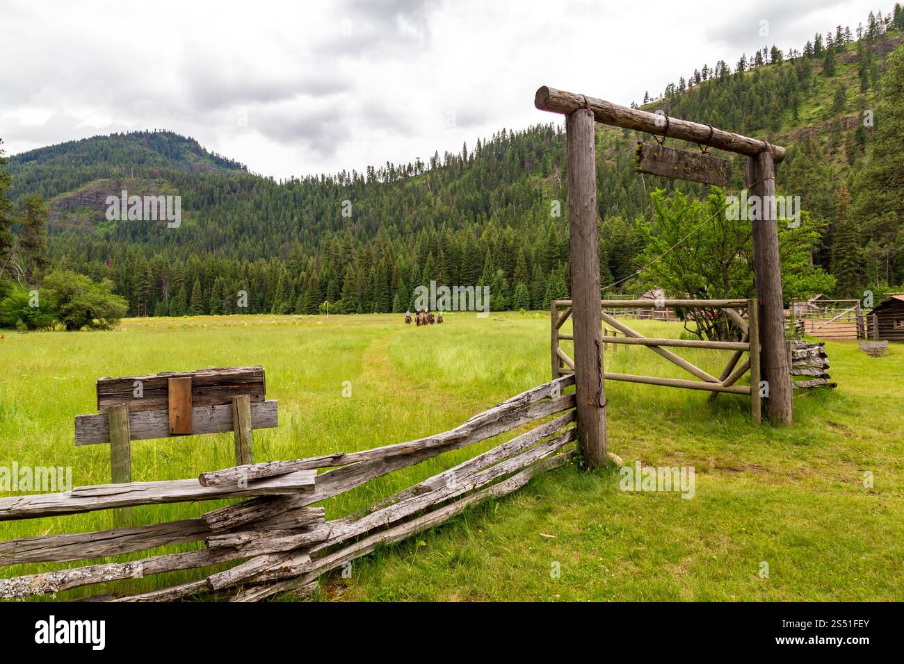 Rustic Ranch Gate dans un paysage de montagne forestier serein, Red's Horse Ranch, Eagle Cap Wilderness, Oregon Banque D'Images