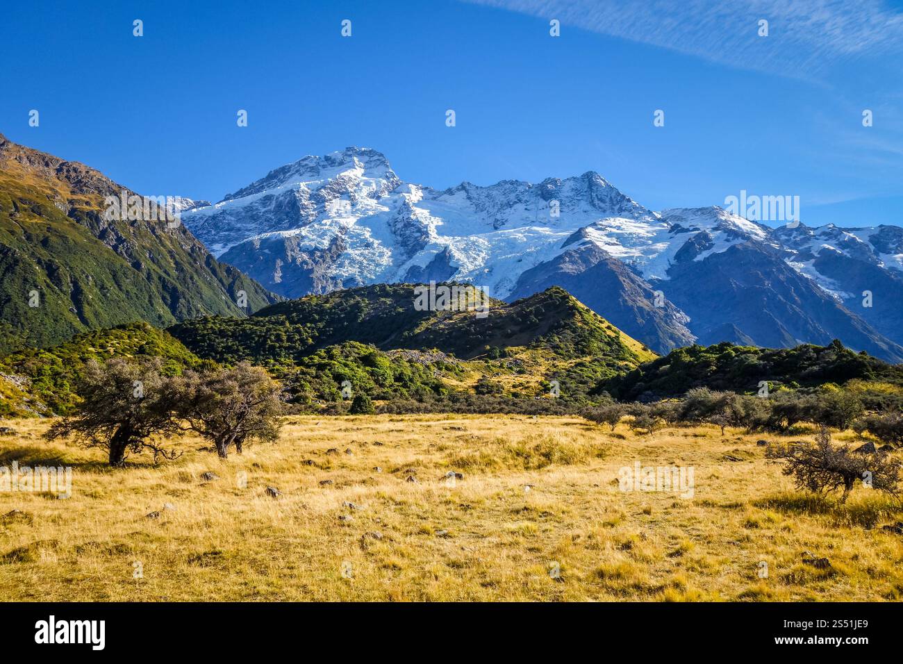 Paysage alpin de la vallée du Mont Cook, Nouvelle-Zélande. Paysage de la vallée du Mont Cook, Nouvelle-Zélande Banque D'Images