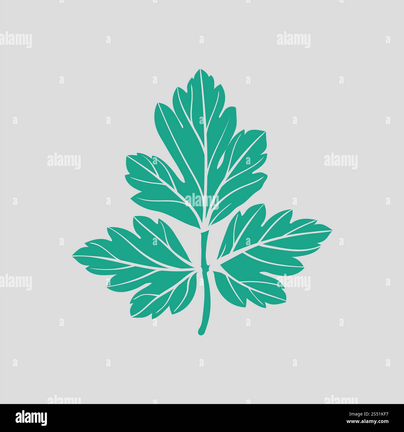 L'icône de persil. Avec fond gris vert. Vector illustration. Banque D'Images