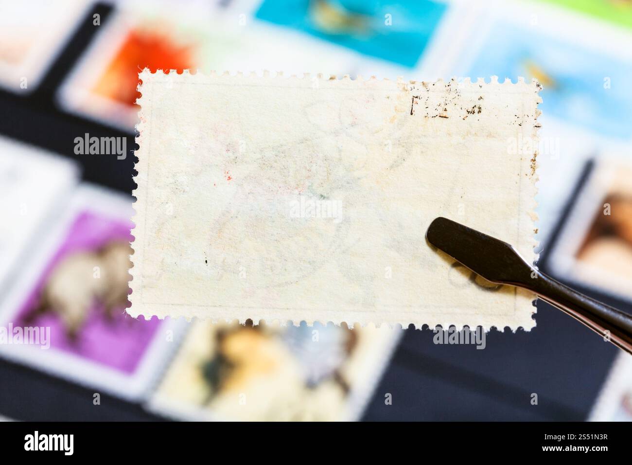 Concept - Philatélie timbres pince maintient avec le mauvais côté arrière colle sur classeur Banque D'Images