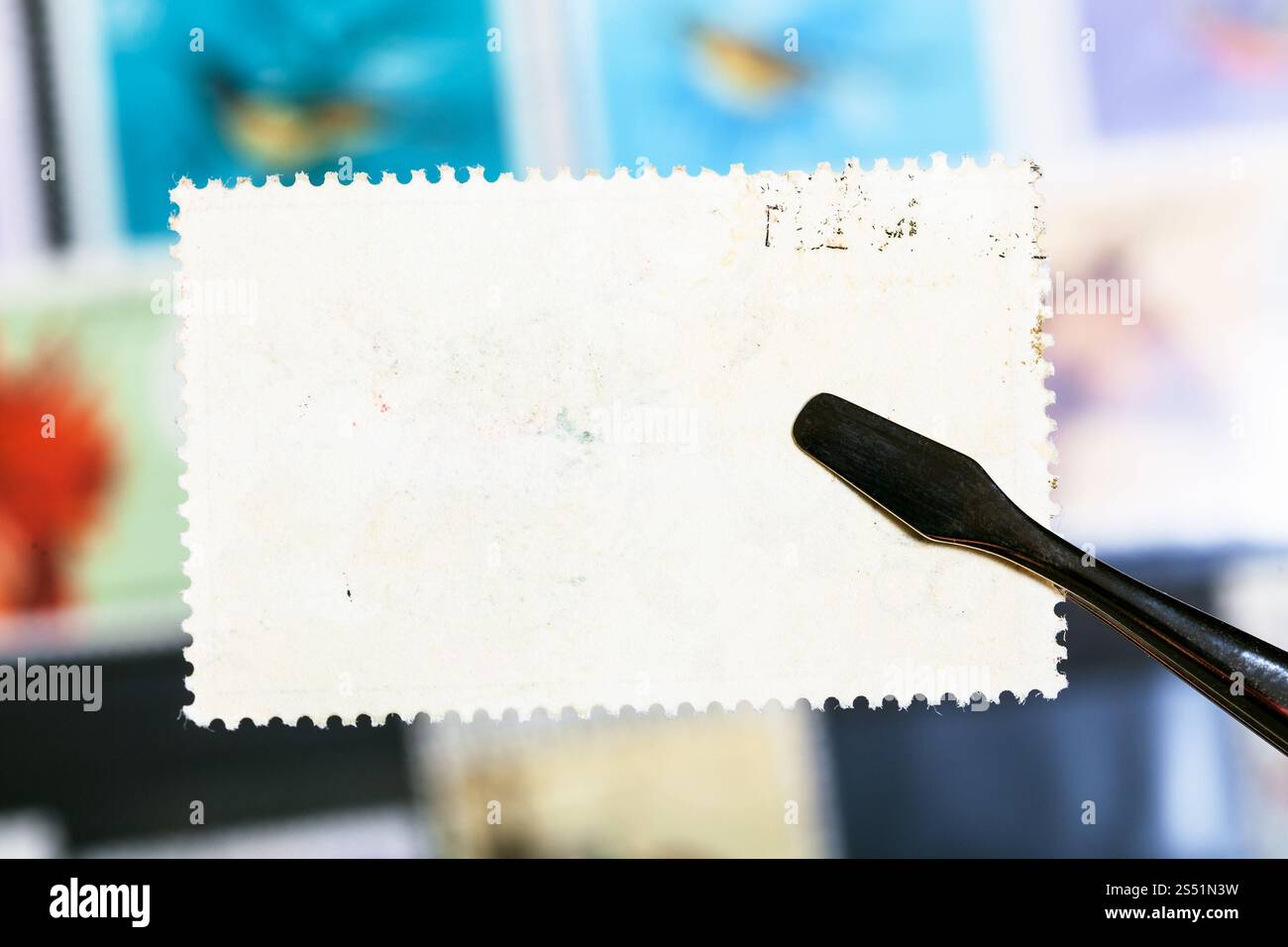 Concept - Philatélie timbres pinces conserve avec de la colle non utilisés au cours de l'arrière du classeur Banque D'Images