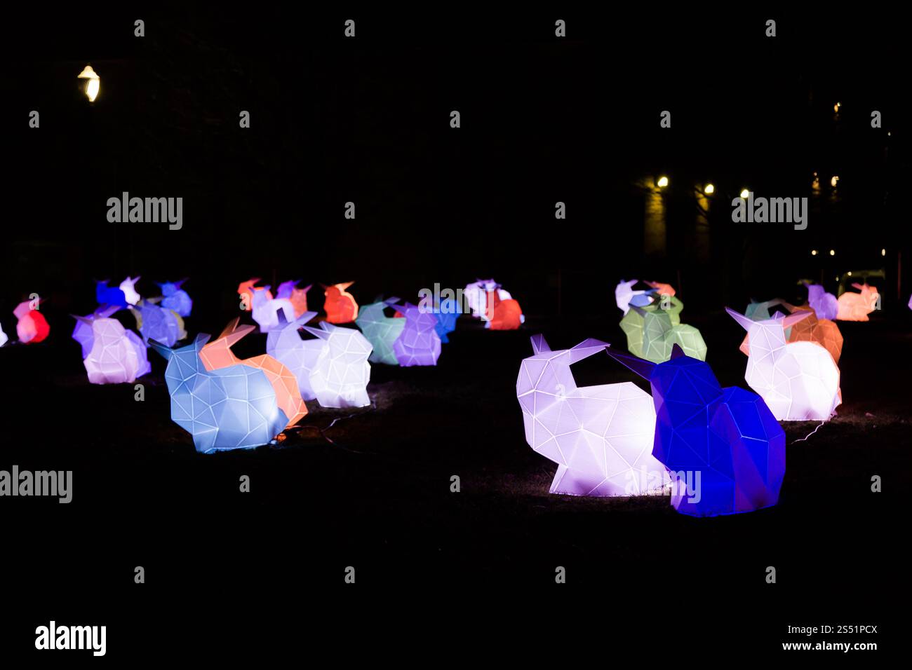 Lanternes de lapin géométriques colorées illuminant un parc la nuit, festival des lumières d'hiver, Portland, Oregon Banque D'Images