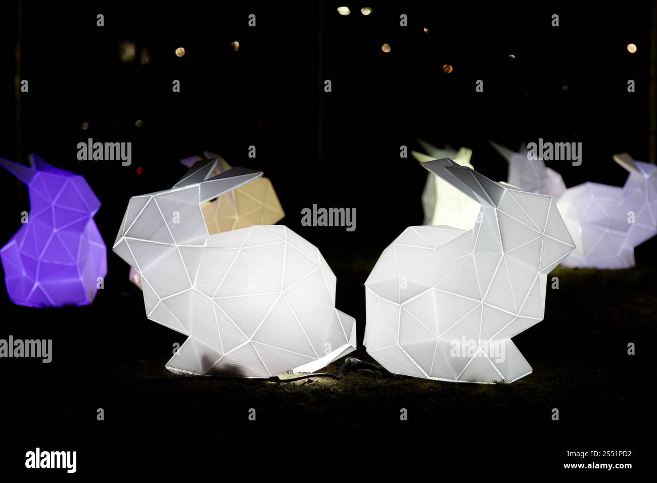 Lanternes de lapin géométriques colorées illuminant un parc la nuit, festival des lumières d'hiver, Portland, Oregon Banque D'Images
