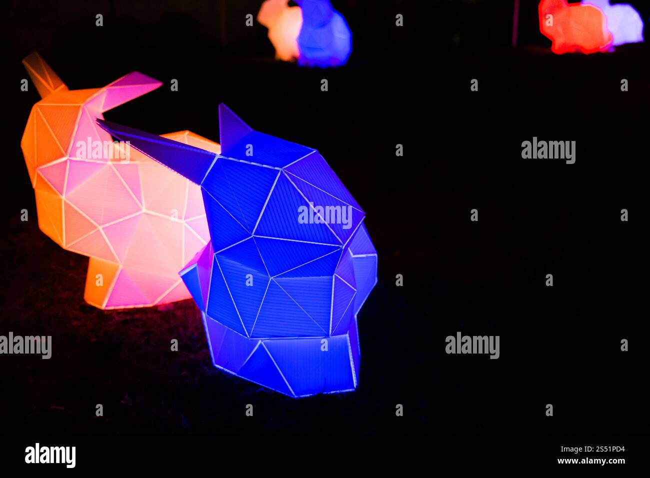 Lanternes de lapin géométriques colorées illuminant un parc la nuit, festival des lumières d'hiver, Portland, Oregon Banque D'Images