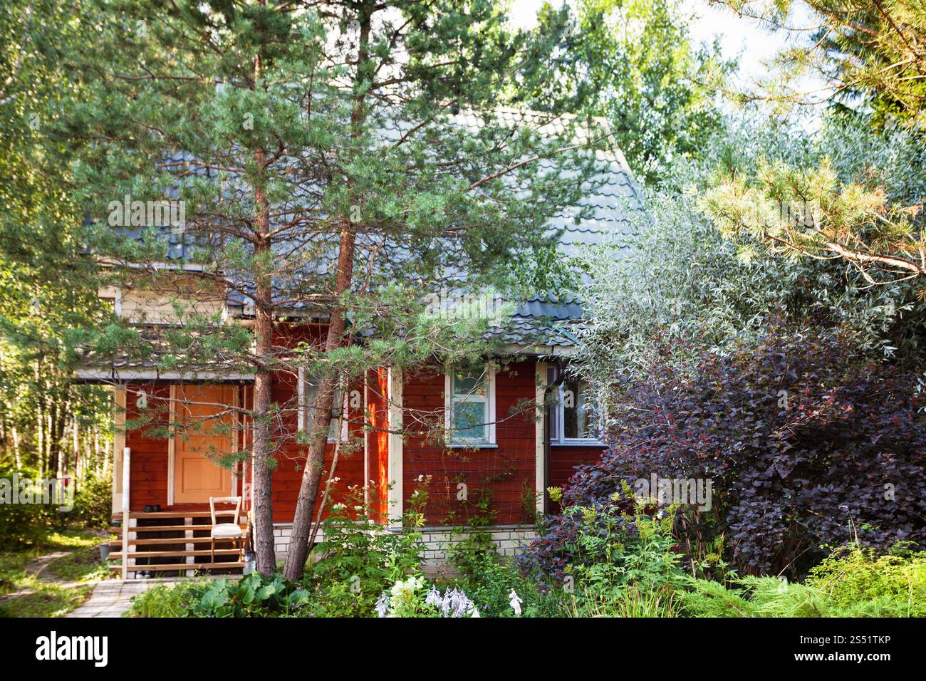 Petit chalet en bois dans le jardin envahi par la journée d'été dans la région de Tver en Russie Banque D'Images