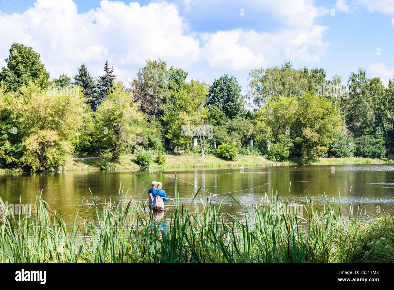 Vue de la rivière Zhabenka près de l'étang de jardin urbain grand dans le parc Timiryazevskiy de la ville de Moscou en été Banque D'Images