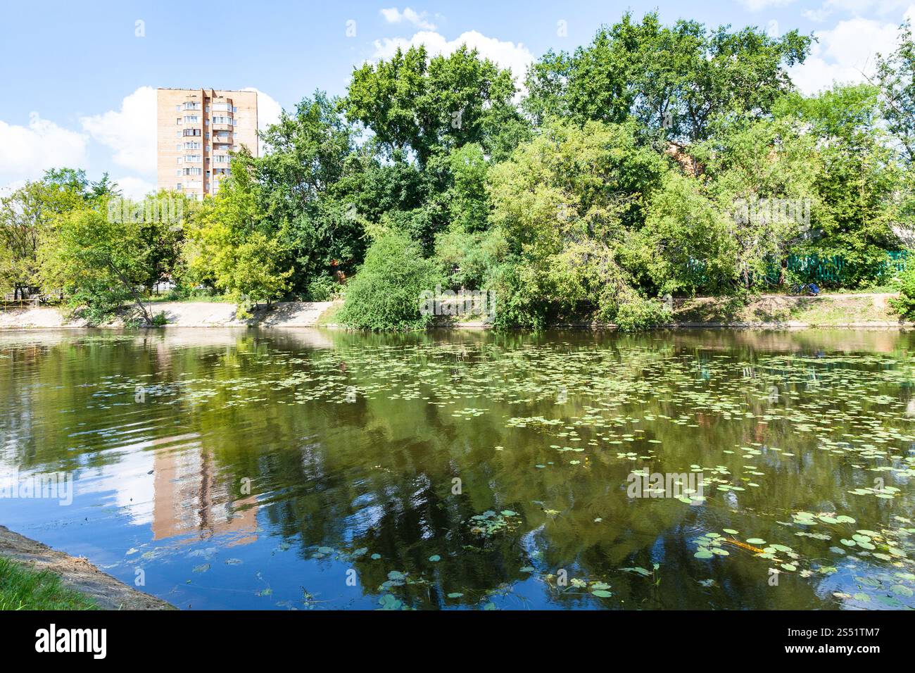 Zhabenka, près de Grand jardin (Grand) Timiryazevskiy Academicheskiy dans l'étang du parc de la ville de Moscou en été Banque D'Images
