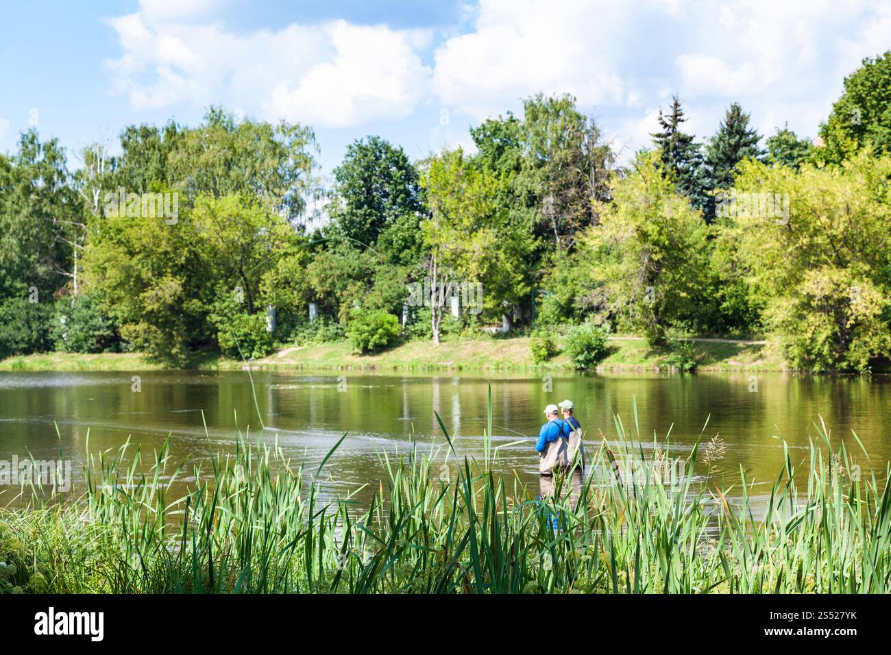 Vue de la rivière Zhabenka près du grand jardin (Big Academic) étang dans le parc Timiryazevskiy de la ville de Moscou en été Banque D'Images