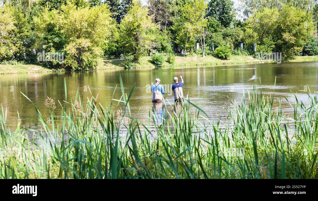 Zhabenka, près de Grand jardin (Grand) Timiryazevskiy Academicheskiy dans l'étang du parc de la ville de Moscou en été Banque D'Images