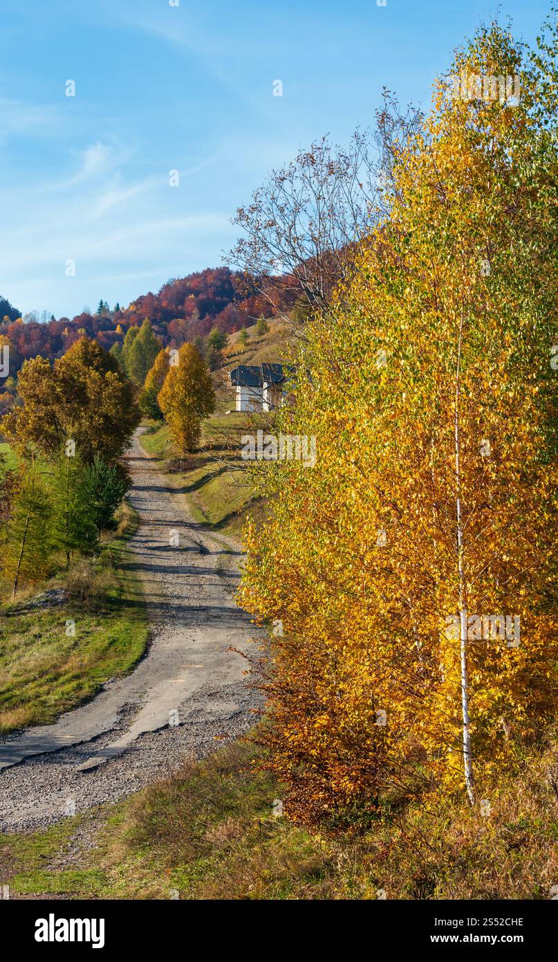 Route secondaire sale au col de montagne en automne montagnes des Carpates et arbres multicolores jaune-orange-rouge-brun sur les pentes (col de Rakhiv, Banque D'Images