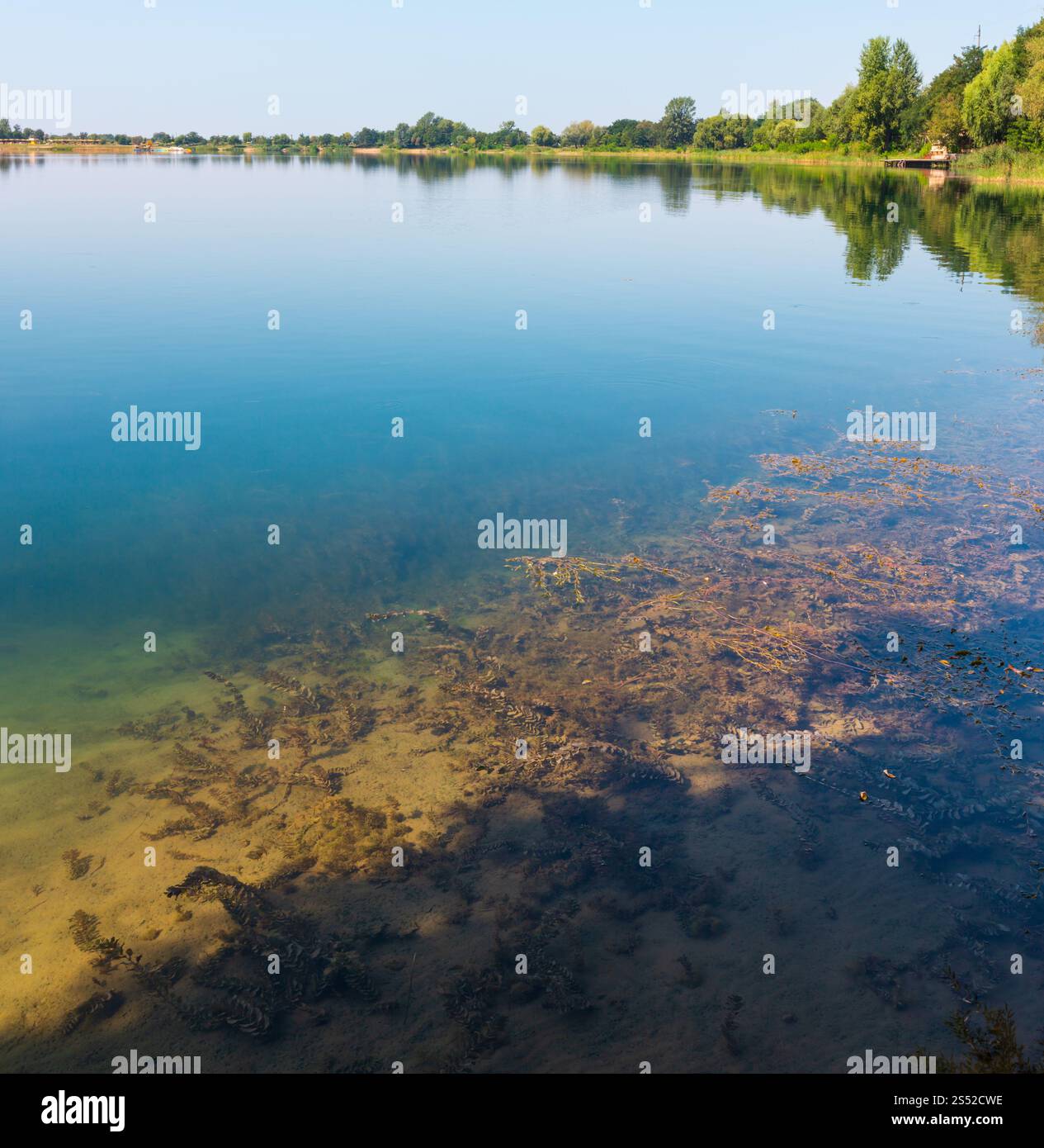 Summer background fond du lac pittoresque avec des algues. Concept de la vie de campagne tranquille, éco-tourisme, le camping, la pêche. Banque D'Images