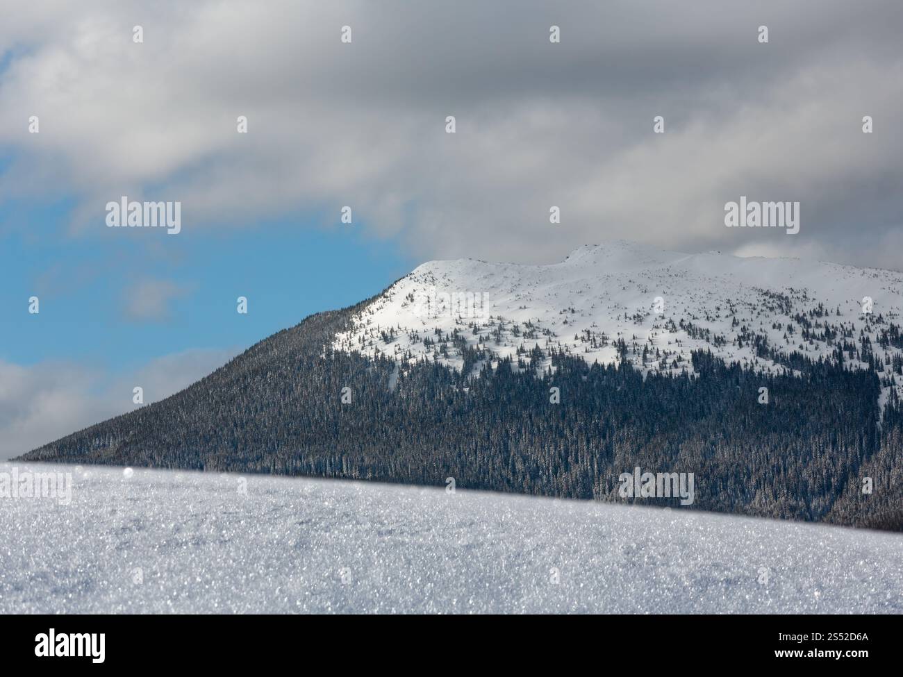 Belle ensoleillée calme avec surface de neige Flocons cristallins et derrière la montagne (nature macro fond, belle pour l'hiver les concepts) Banque D'Images Belle ensoleillée calme avec surface de neige Flocons cristallins et derrière la montagne (nature macro fond, belle pour l'hiver les concepts) Banque D'Images