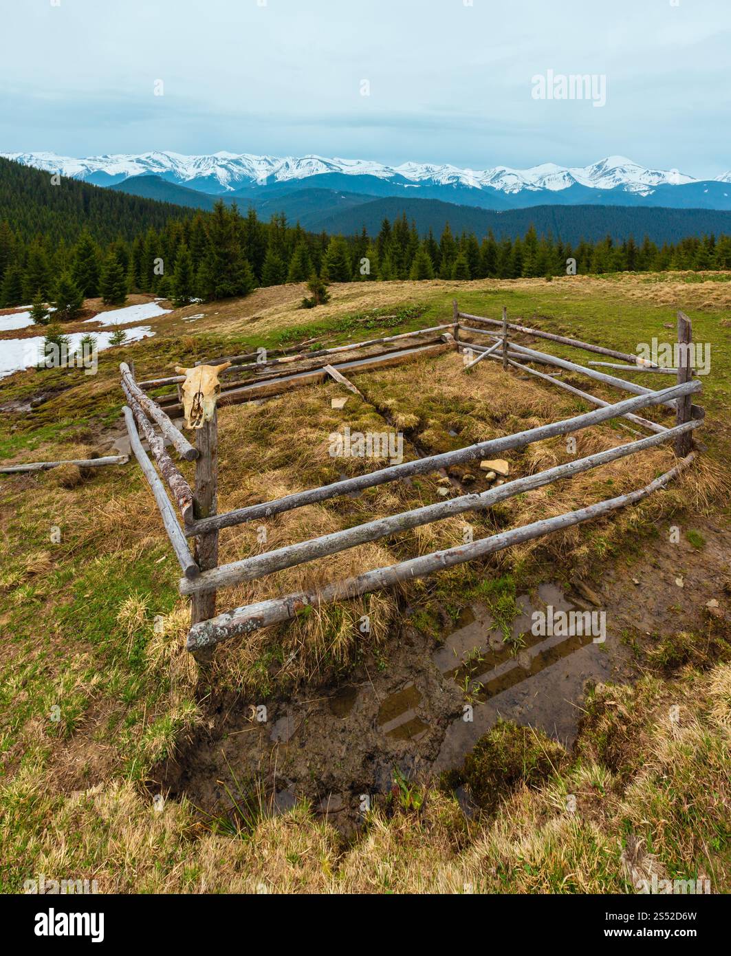 Carpates printemps paysage avec des sommets couverts de neige des Chornohora ridge de loin, de l'Ukraine. Zone agricole clôturé avec de l'eau printemps et buveur. Banque D'Images