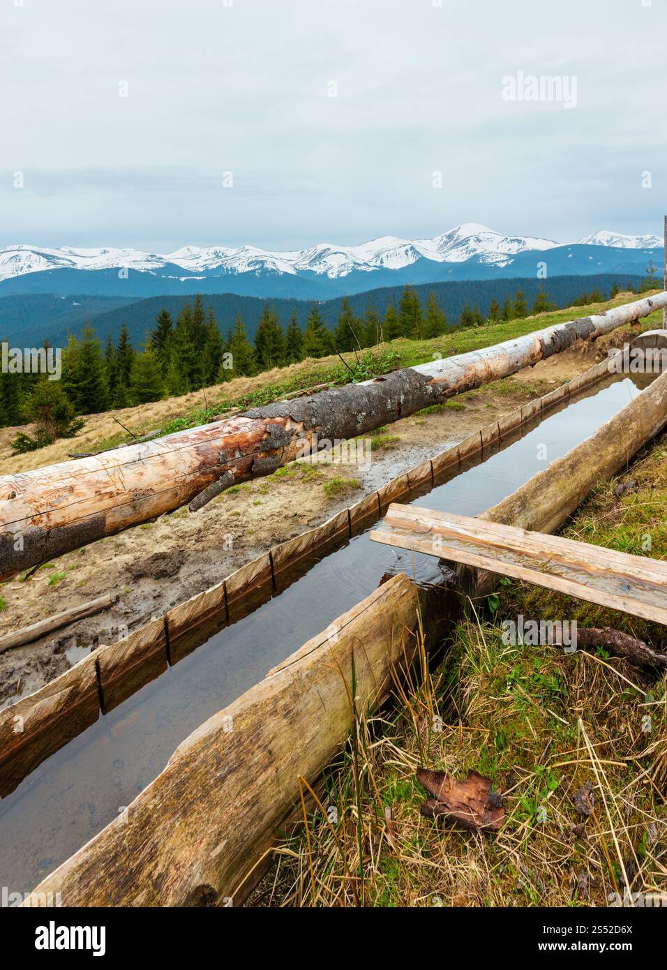 Carpates printemps paysage avec des sommets couverts de neige des Chornohora ridge de loin, de l'Ukraine. Zone agricole clôturé avec de l'eau printemps et buveur. Banque D'Images