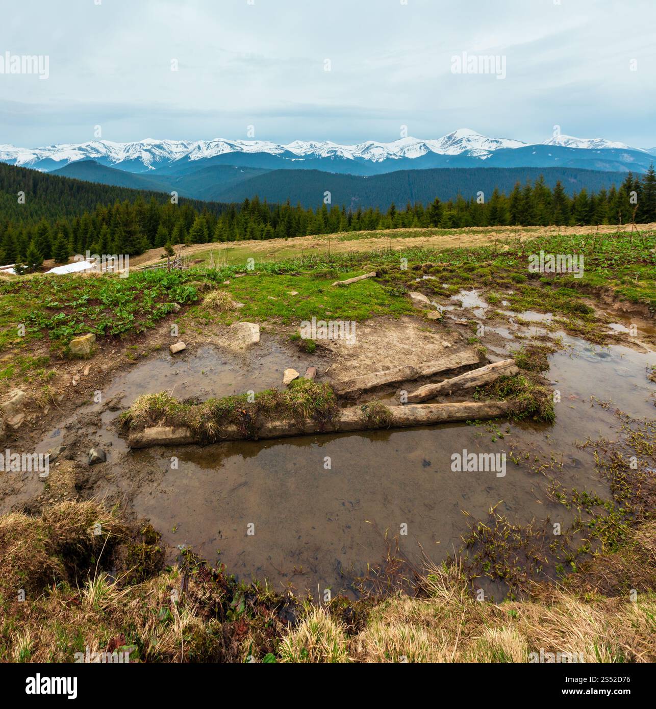 Carpates printemps paysage avec des sommets couverts de neige des Chornohora ridge de loin, de l'Ukraine. Zone agricole clôturé avec de l'eau printemps et buveur. Banque D'Images