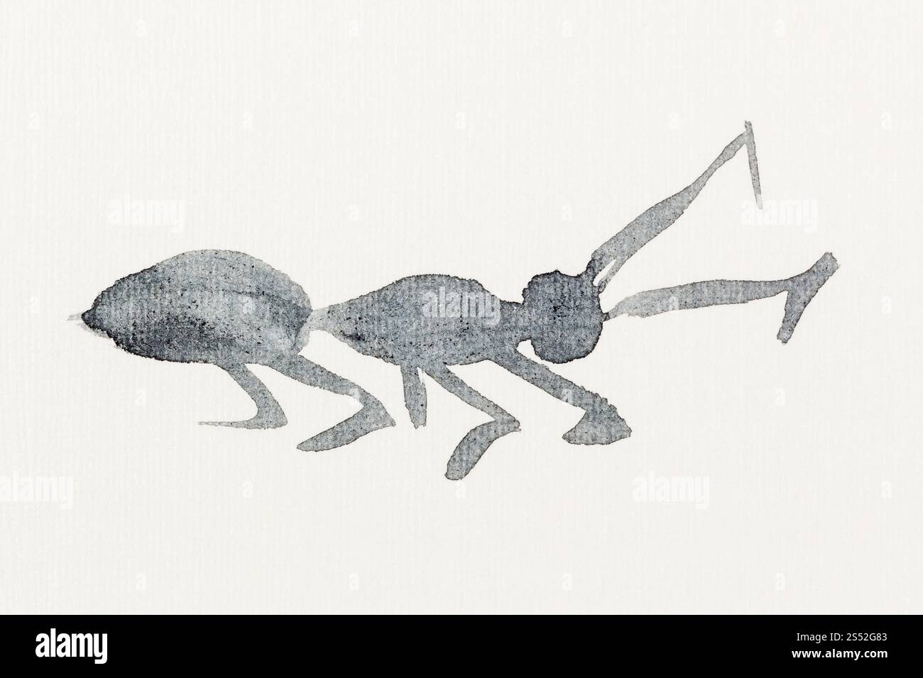 Peinture à la main de style sumi-e sur papier crème - croquis des aquarelles noir dessiné par ant Banque D'Images