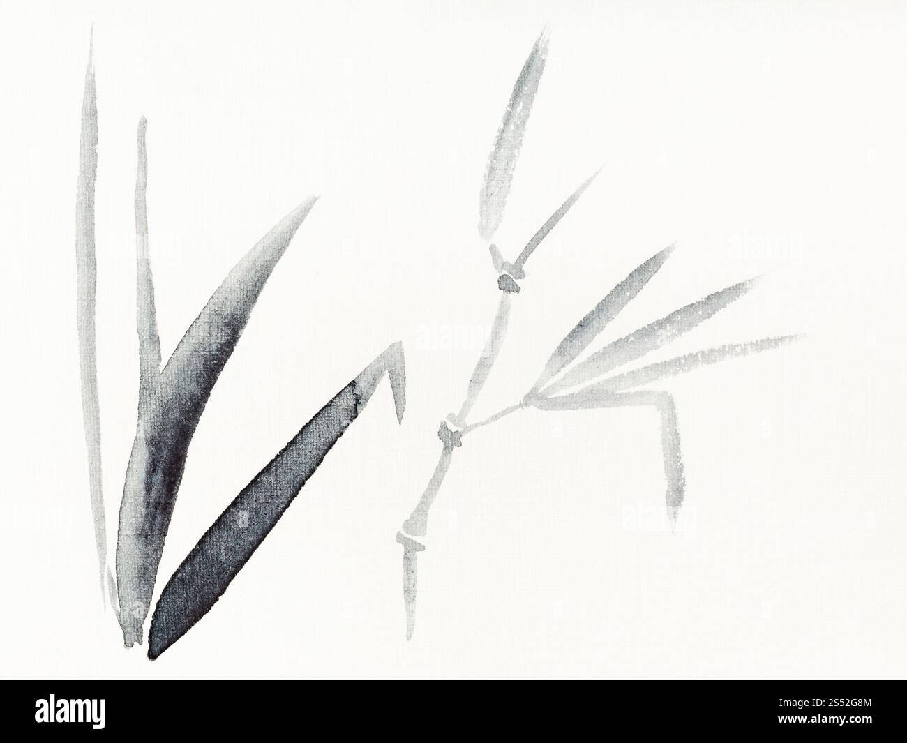 Peinture à la main de style sumi-e sur papier crème - plantes reed tirée par l'aquarelle noire Banque D'Images