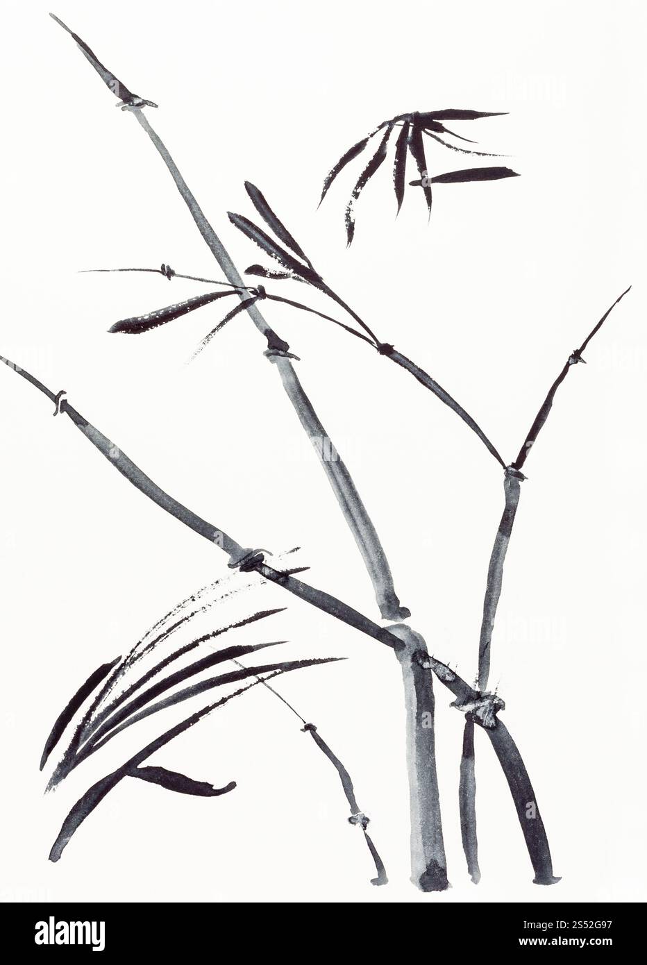 Peinture à la main de style sumi-e sur papier crème - usine en bambou tirées par l'aquarelle noire Banque D'Images