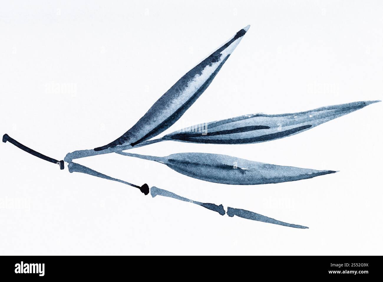 Peinture à la main de style sumi-e sur papier blanc - bamboo twig dessiné par black aquarelles Banque D'Images