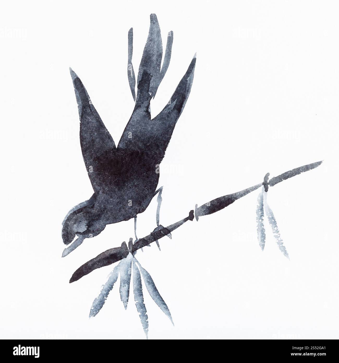 Peinture à la main de style sumi-e sur papier blanc - oiseau sur branche bambou tirées par l'aquarelle noire Banque D'Images